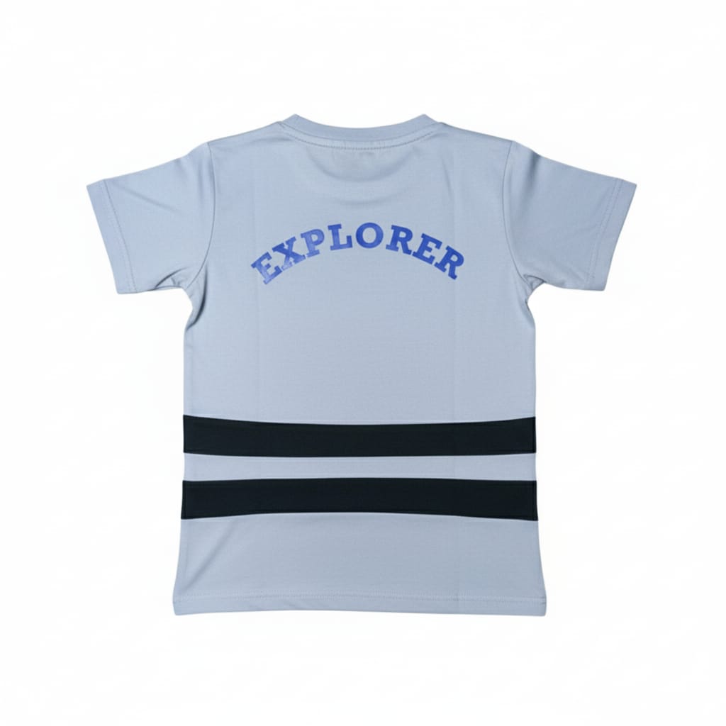 DPS New House Tshirt Grey Explorer - Image 2