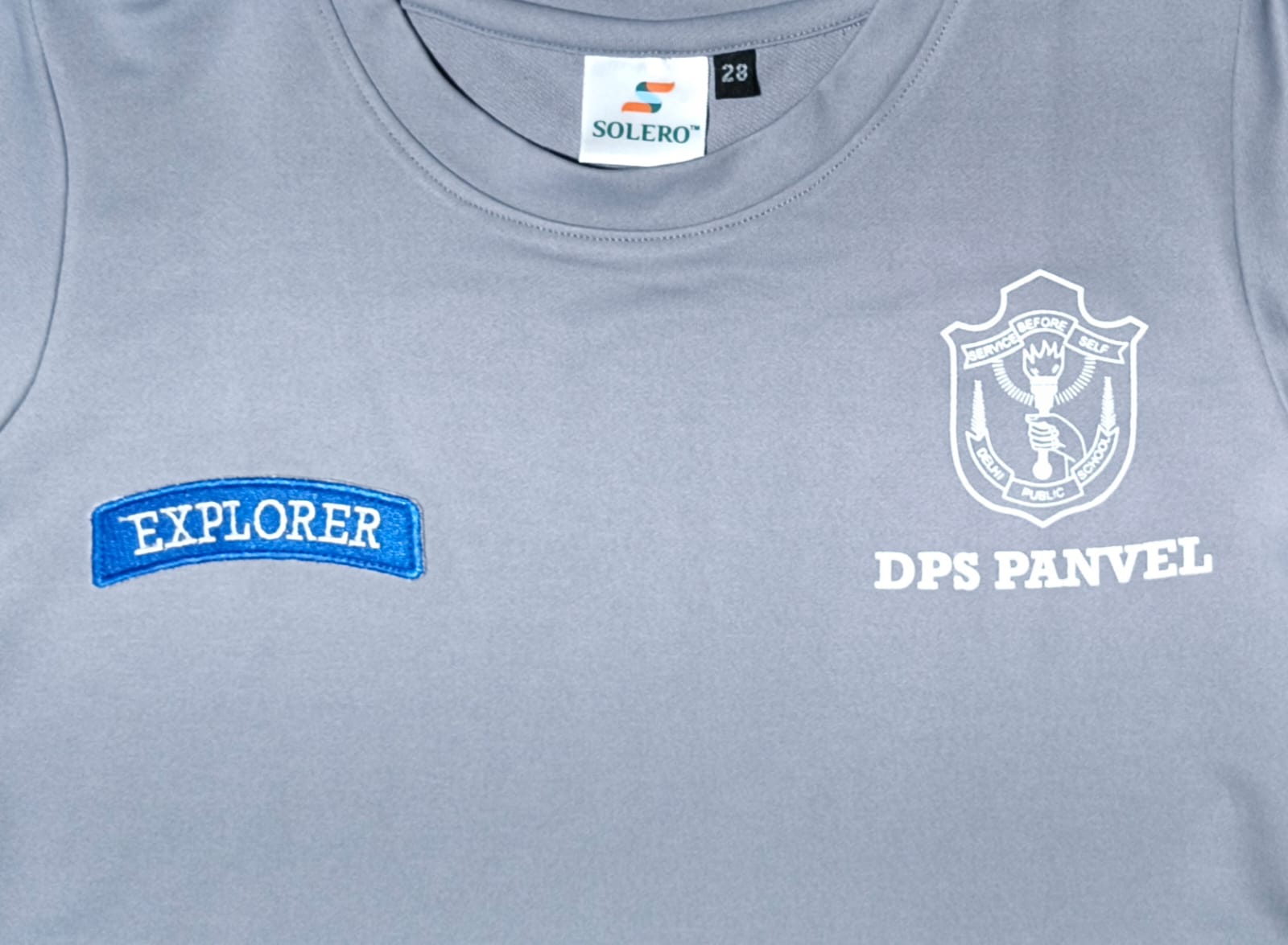 DPS New House Tshirt Grey Explorer - Image 3